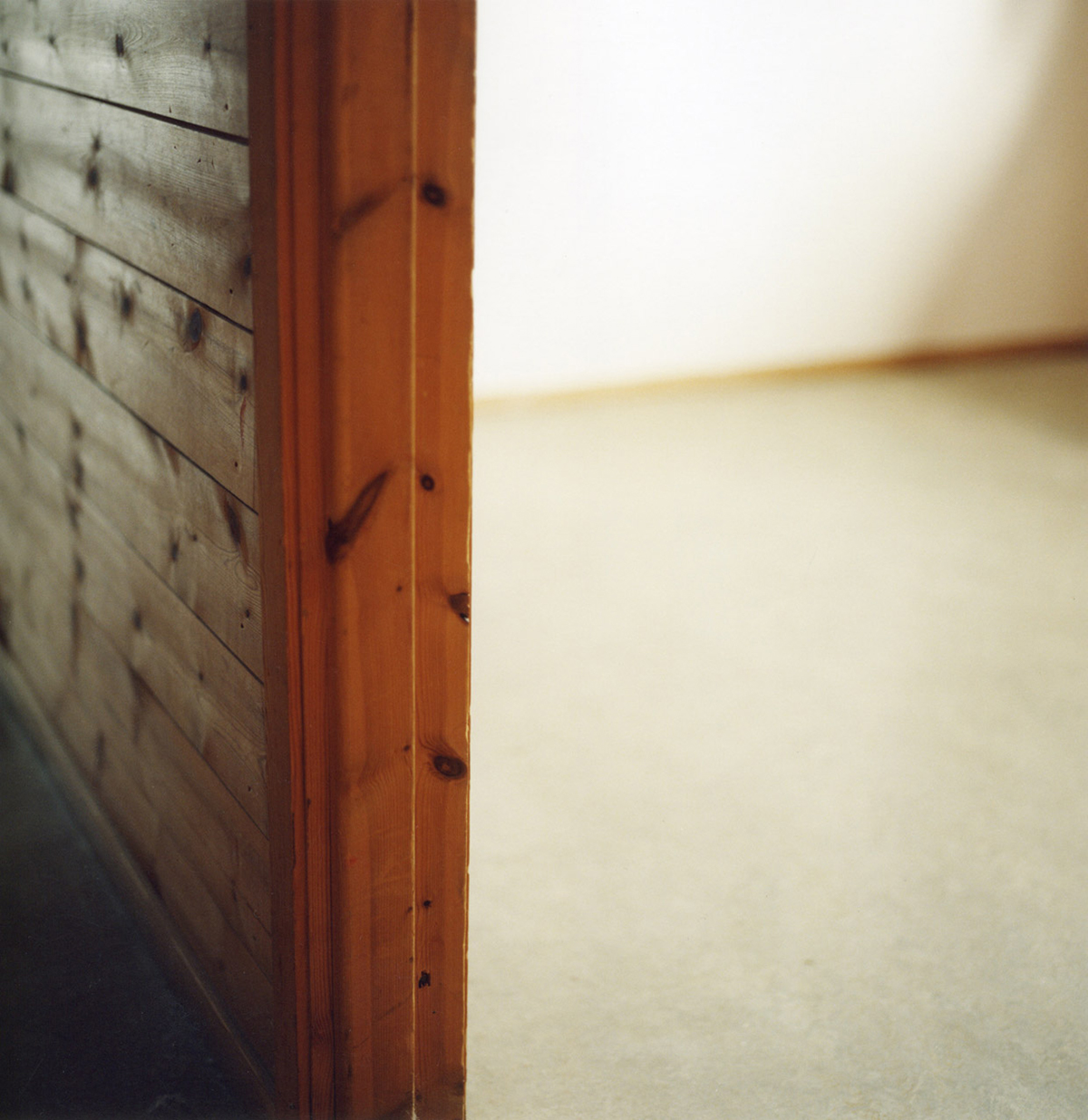 Slemdal 5, 2010 (95 x 90 cm)