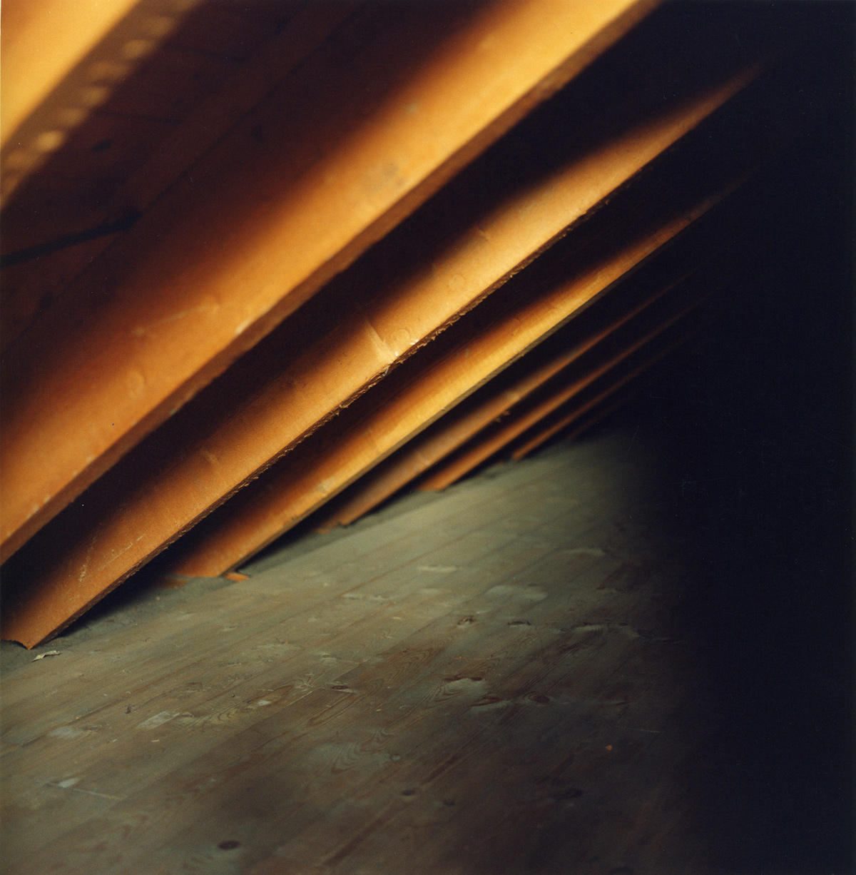 Slemdal 10, 2010 (95 x 90 cm)